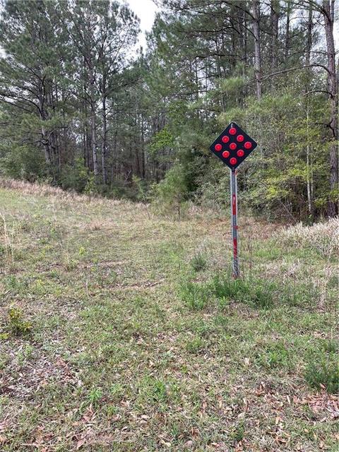 0 Cleburne Rd N, Chunchula, AL 36521