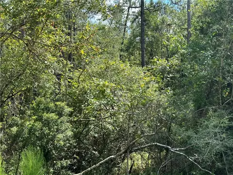 10061 Sasser Ln, Mobile, AL 36695 photo 6