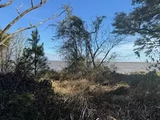 4101 Bay Front Rd, Mobile, AL 36582 photo 1