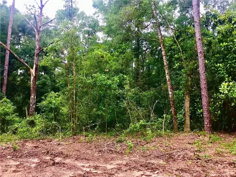 21801 Sedlack Rd, Silverhill, AL 36576