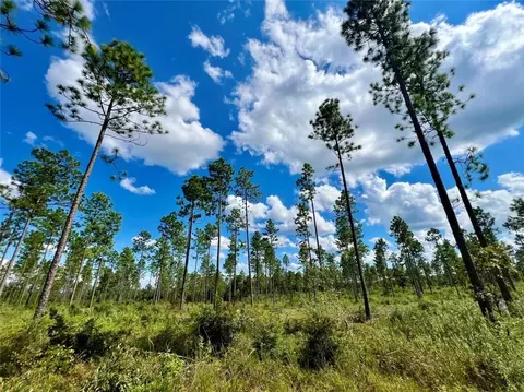 0 Shepard House Rd, Mount Vernon, AL 36560