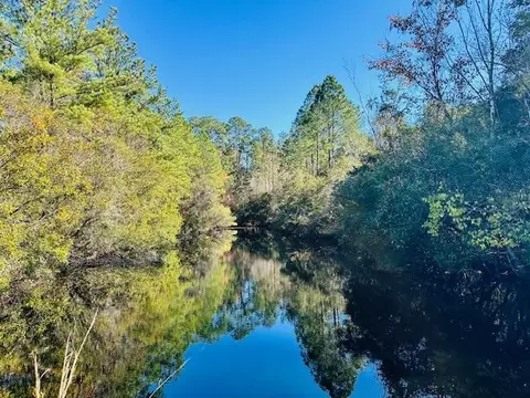 0 Constitution Rd, Moss Point, MS 39562 photo 32