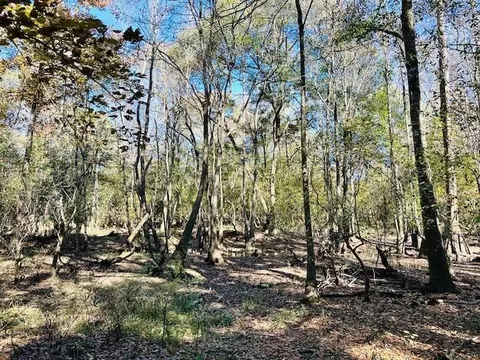0 Constitution Rd, Moss Point, MS 39562 photo 36