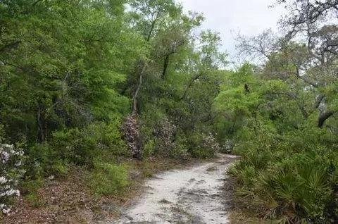 0 Constitution Rd, Moss Point, MS 39562 photo 13