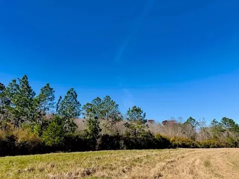 0 Constitution Rd, Moss Point, MS 39562 photo 26