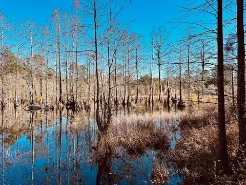 0 Constitution Rd, Moss Point, MS 39562 photo 51