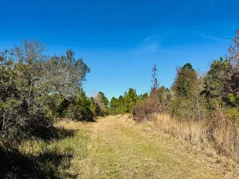 0 Constitution Rd, Moss Point, MS 39562 photo 22