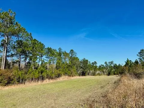 0 Constitution Rd, Moss Point, MS 39562 photo 27