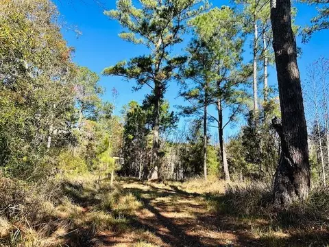 0 Constitution Rd, Moss Point, MS 39562 photo 49