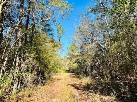 0 Constitution Rd, Moss Point, MS 39562 photo 29