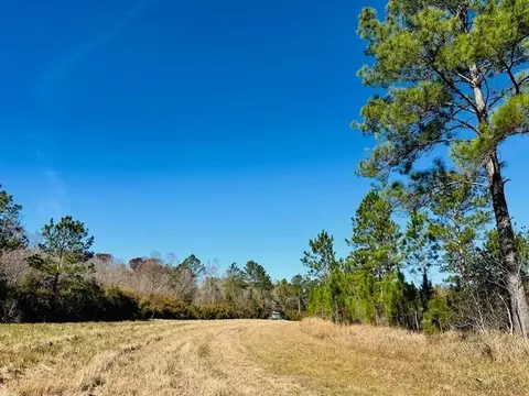 0 Constitution Rd, Moss Point, MS 39562 photo 25