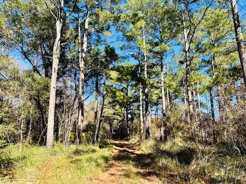 0 Constitution Rd, Moss Point, MS 39562 photo 48