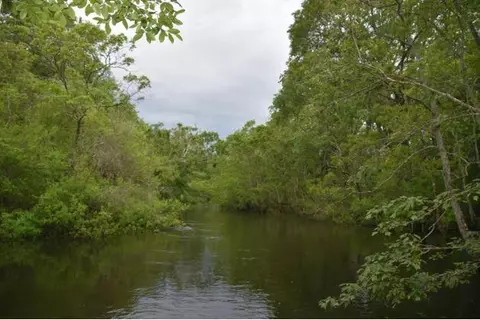 0 Constitution Rd, Moss Point, MS 39562 photo 2