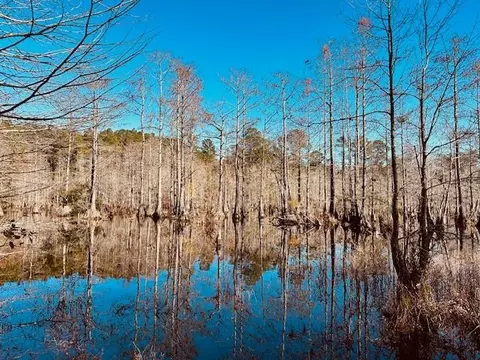 0 Constitution Rd, Moss Point, MS 39562 photo 50