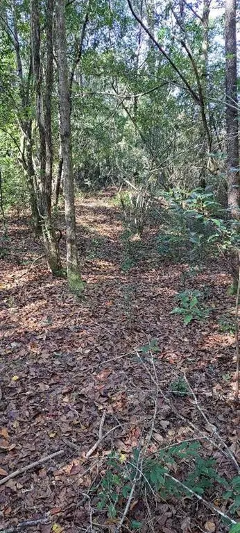 0 Dykes Rd, Eight Mile, AL 36613