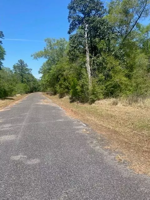 3851 River Rd, Theodore, AL 36582 photo 5