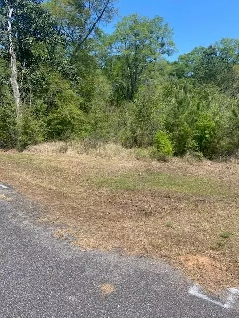 3851 River Rd, Theodore, AL 36582 photo 4