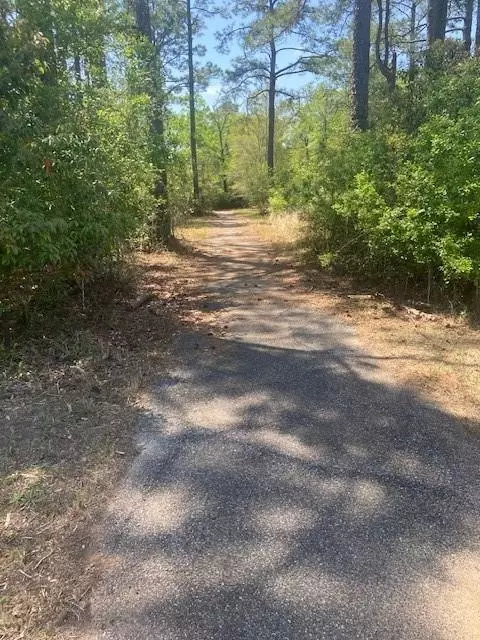 3851 River Rd, Theodore, AL 36582 photo 9