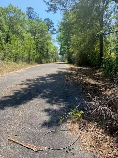 3851 River Rd, Theodore, AL 36582 photo 11