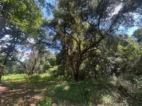 0 Lundy Rd, Theodore, AL 36582