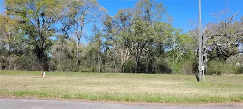 0 Newman Rd, Mobile, AL 36695 photo 4