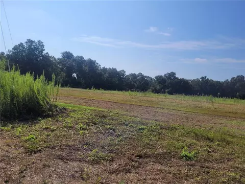0 Newman Rd, Mobile, AL 36695 photo 8