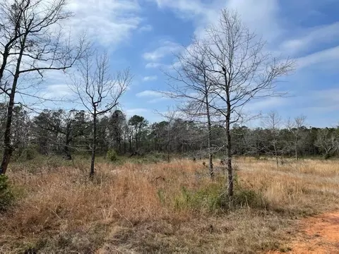10765 Mary Ann Beach Rd, Fairhope, AL 36532