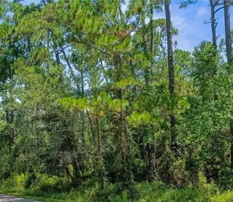 158 Orleans Dr, Dauphin Island, AL 36528