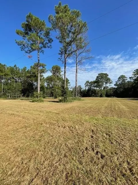 00 Ezell Rd, Grand Bay, AL 36541