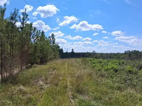 0 Beverly Jeffries Hwy, Citronelle, AL 36522