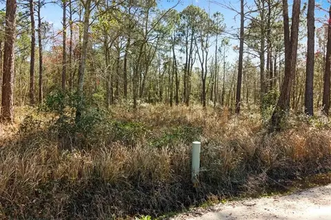 16045 Williams Rd, Coden, AL 36523 photo 4