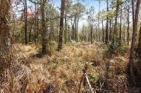 16045 Williams Rd, Coden, AL 36523 photo 5