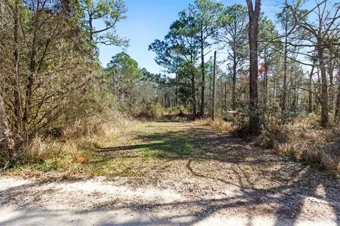 16045 Williams Rd, Coden, AL 36523 photo 2