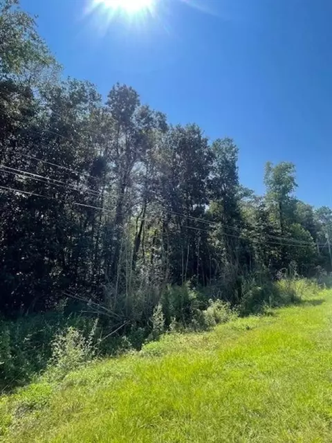 lot6 Belle Fontaine Blvd, Theodore, AL 36582