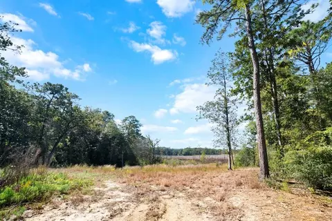 0 Pinetop Rd, Coden, AL 36523 photo 24