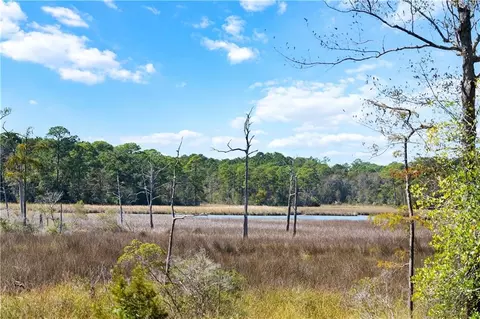 0 Pinetop Rd, Coden, AL 36523 photo 17