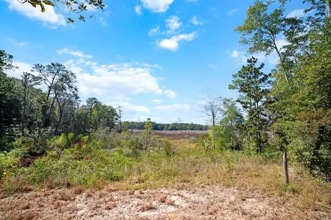 0 Pinetop Rd, Coden, AL 36523 photo 25