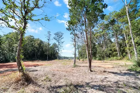0 Pinetop Rd, Coden, AL 36523 photo 21