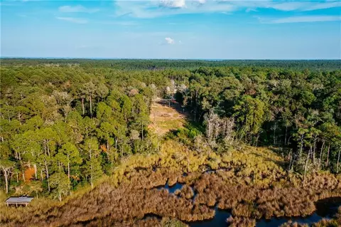 0 Pinetop Rd, Coden, AL 36523 photo 13