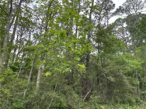 1105 Alabama Ave, Dauphin Island, AL 36528