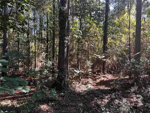 0 Neck Rd, Mobile, AL 36695 photo 4