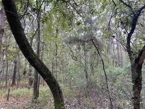 0 Highway 188, Irvington, AL 36544