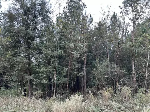 0 Taylor Ave, Irvington, AL 36544