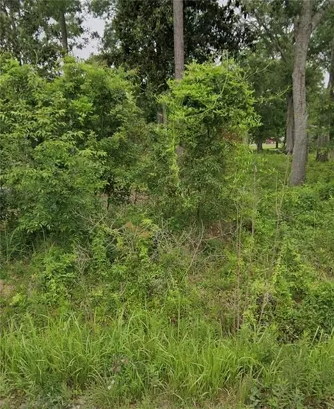 0 Easy Way St, Irvington, AL 36544