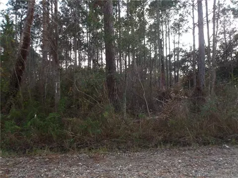 0 Michigan Ave, Coden, AL 36523
