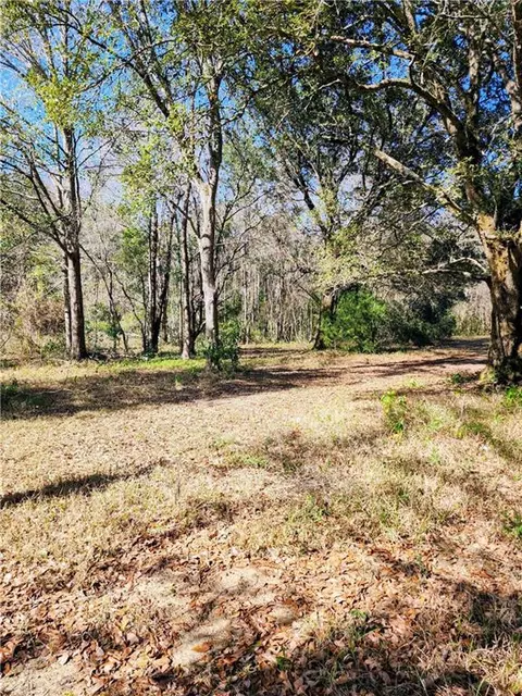 9363 Johnson Rd S, Mobile, AL 36695 photo 8