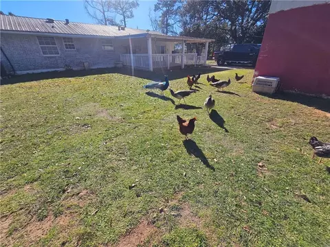 Exterior - 10050 Tanner Williams Rd, Mobile, AL 36608 photo 9 of 17