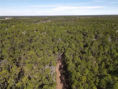 0 Highway 188, Coden, AL 36523 photo 2