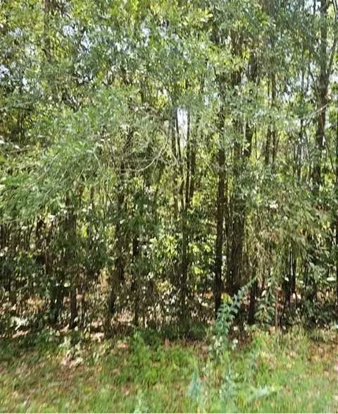0 Mill House Dr S, Mobile, AL 36619