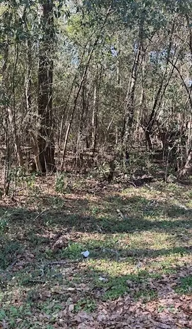0 Cary Hamilton Rd, Theodore, AL 36582